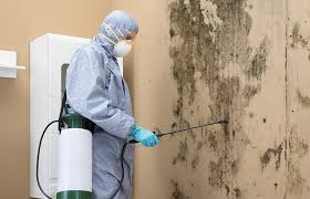 Professional Mold Removal & Remediation in Greenacres, FL